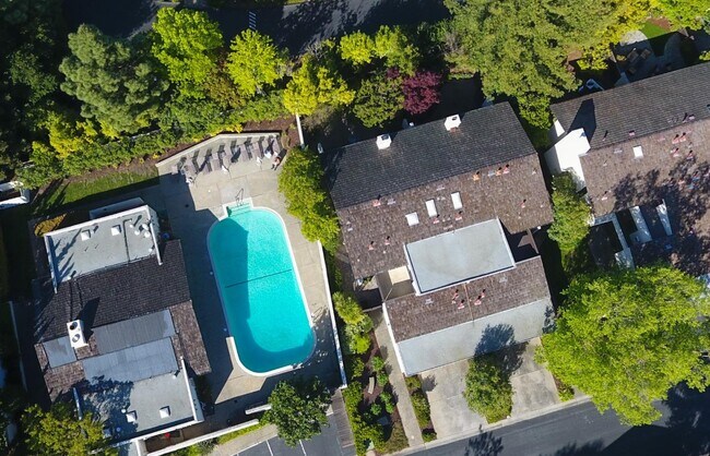 Building Photo - 2439 Sharon Oaks Dr