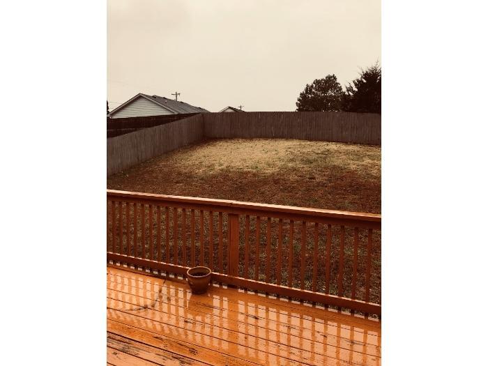 Back Yard - 1342 Whitt Ln