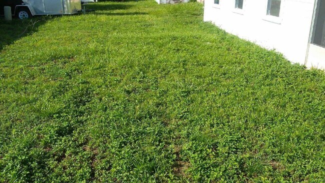 Building Photo - Fantastic 3-bedroom, 1-bath single family home with fenced in yard in Port Richey
