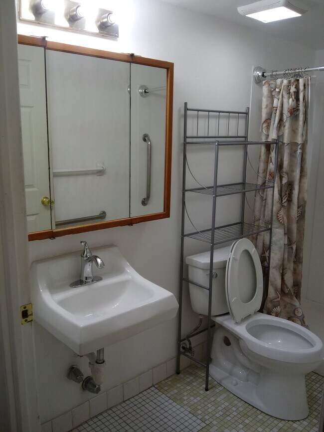 Medicine cabinet in the bathroom - 813 Meadow Woods Ln