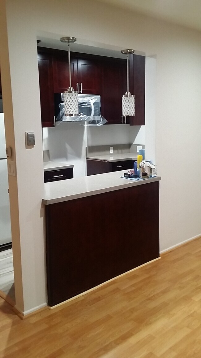 kitchen counter top - 870 S Norton Ave