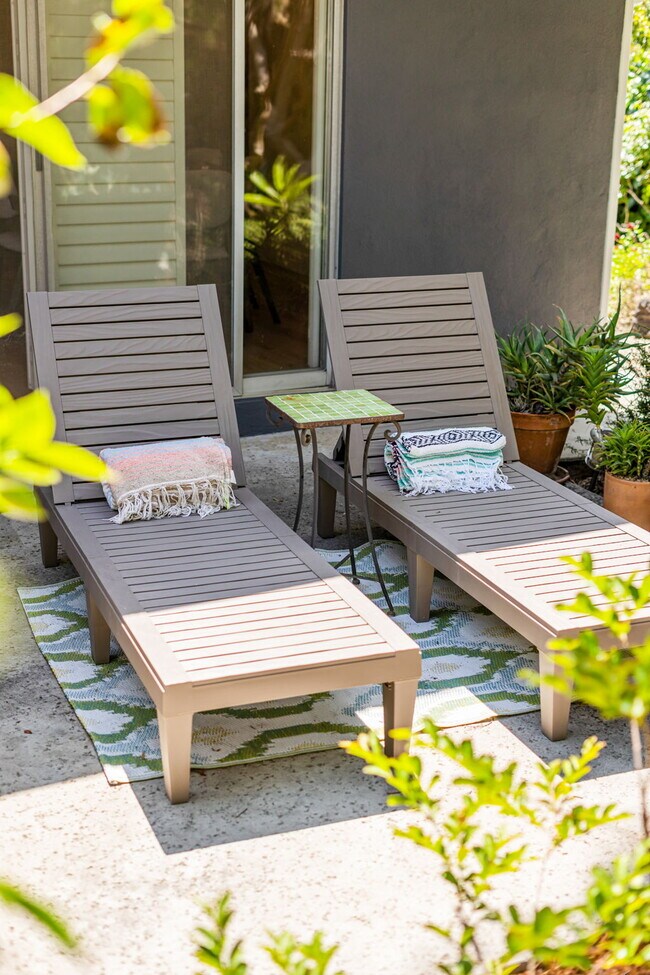 Backyard - 11411 Dona Pegita Dr