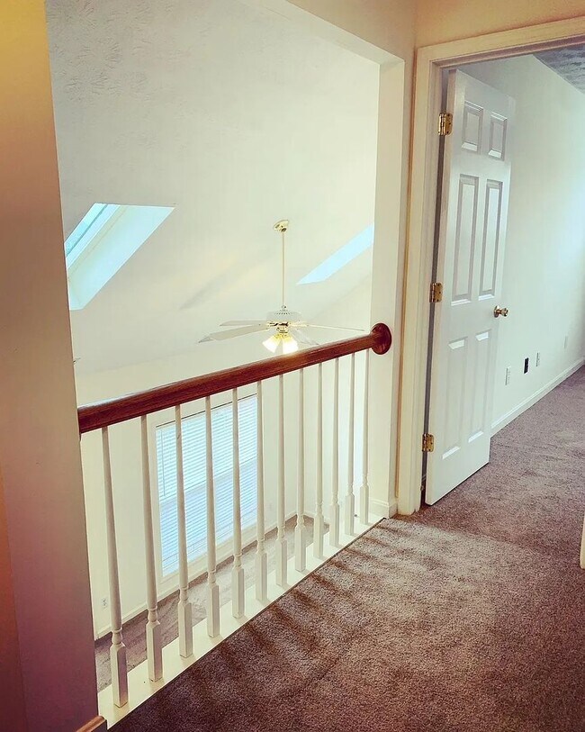 Building Photo - 8504 Bucking Trail Ct