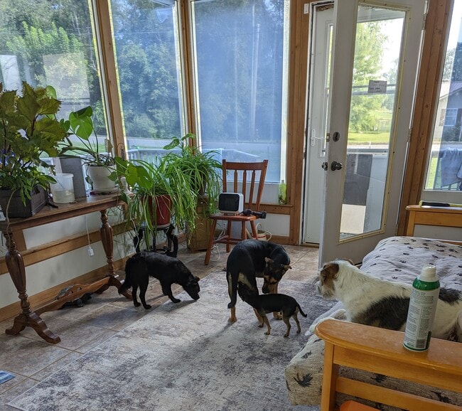 Building Photo - 116 Hidden Valley Dr