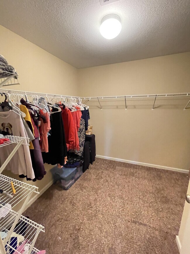 Building Photo - 7308 Sorrel Ct