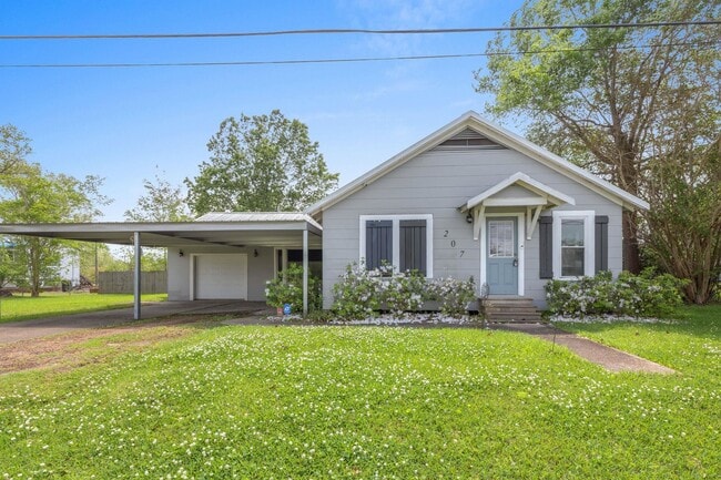 Primary Photo - 207 Duff St