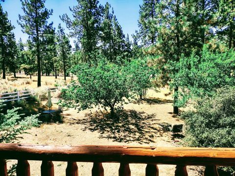 View of Fruit Trees from Balcony - 59570 Devils Ladder Rd