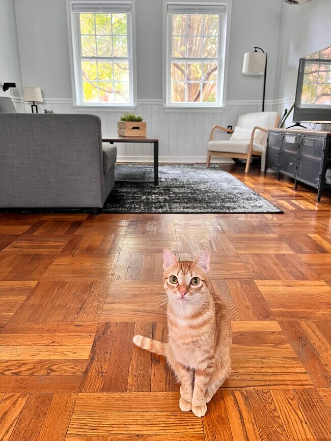 Building Photo - 6616 E Wakefield Dr