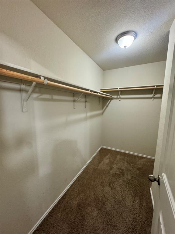 Building Photo - 203 Plata Ln