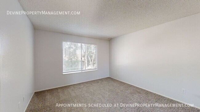 Building Photo - 1603 Coco Palm Ct