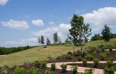 Building Photo - 8518 Leroi Dr