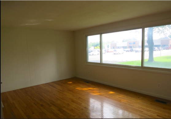 Living Room - belleview apartment