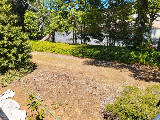 Building Photo - 2 bedroom 2 bath House for Rent in Cave Junction