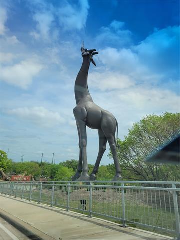 Building Photo - 1247 Georgia Ave