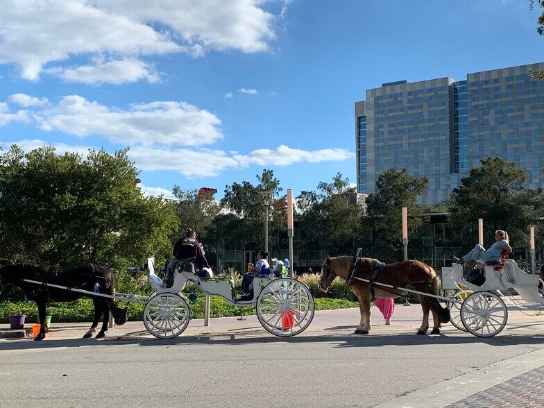 Take a leisurely walk, jog, run, play ball, or just sit back and enjoy a horse drawn carriage ride. - 505 Bastrop St