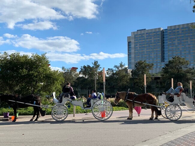 Take a leisurely walk, jog, run, play ball, or just sit back and enjoy a horse drawn carriage ride. - 505 Bastrop St