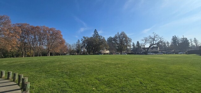 Building Photo - DelMonte