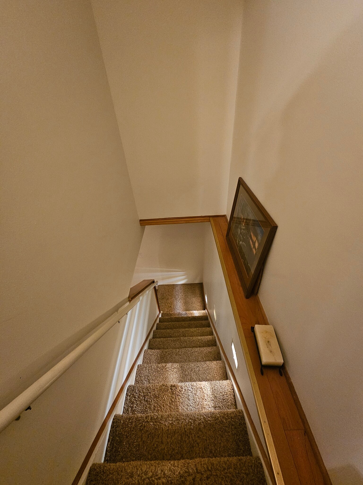 Stairs to lower level p - S818 Goldfinch Ct