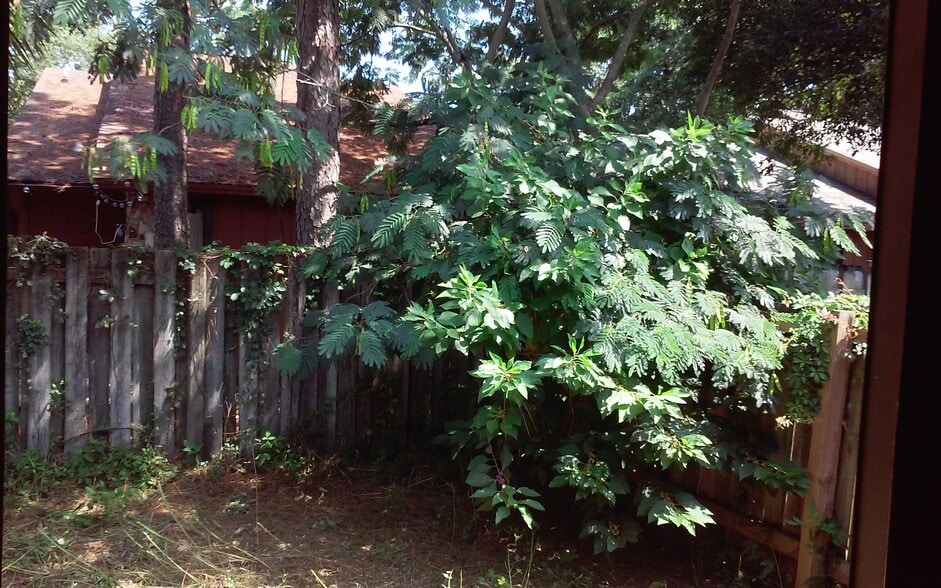 Building Photo - 33 5th Ave