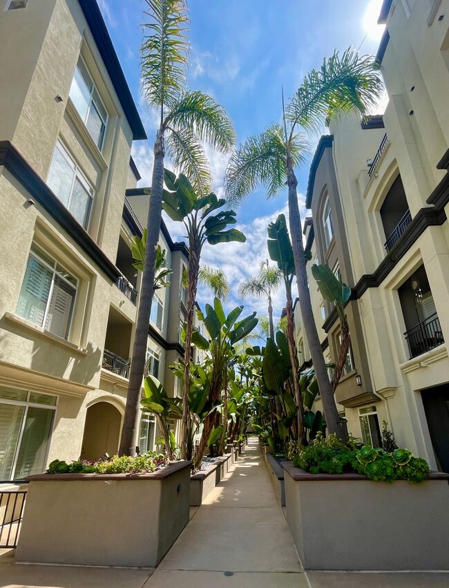 Building Photo - Beautiful 3 bedroom, 2 bath condo in La Jo...