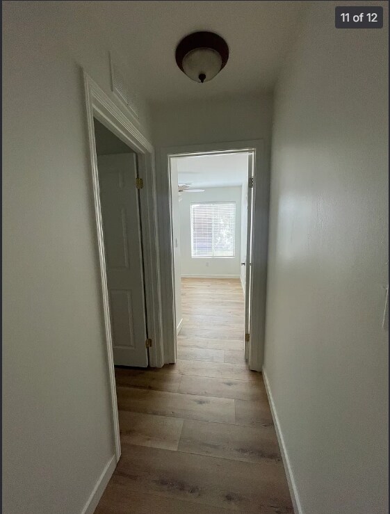 Building Photo - 6001 Potenza Ln