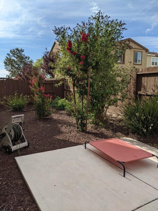 Building Photo - 3932 Scordia Way