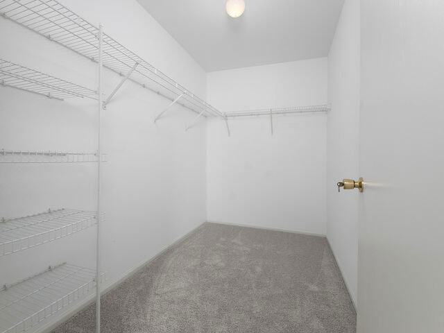 Building Photo - 1309 Silverstone Dr