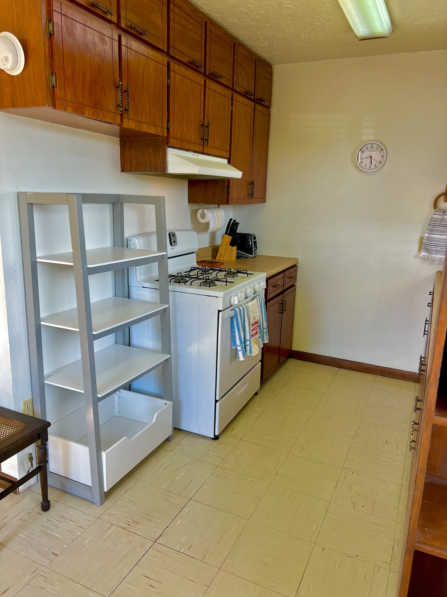 Building Photo - 3058 Tenorio Dr