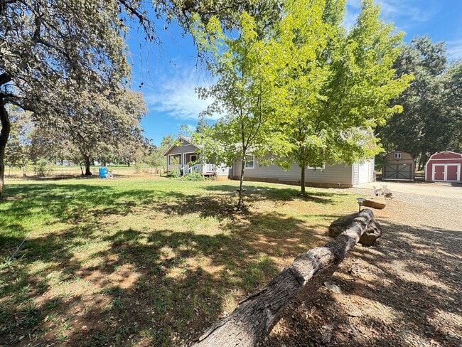 Primary Photo - 3 bed/2 ba country home