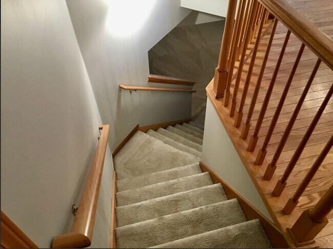Building Photo - Adorable 2 bed 2 bath in Forest Hills Dist...