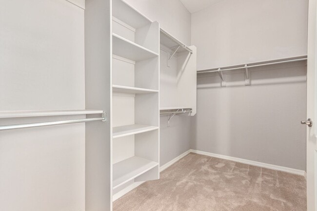 Building Photo - New Rental Listing in Madison Vistas