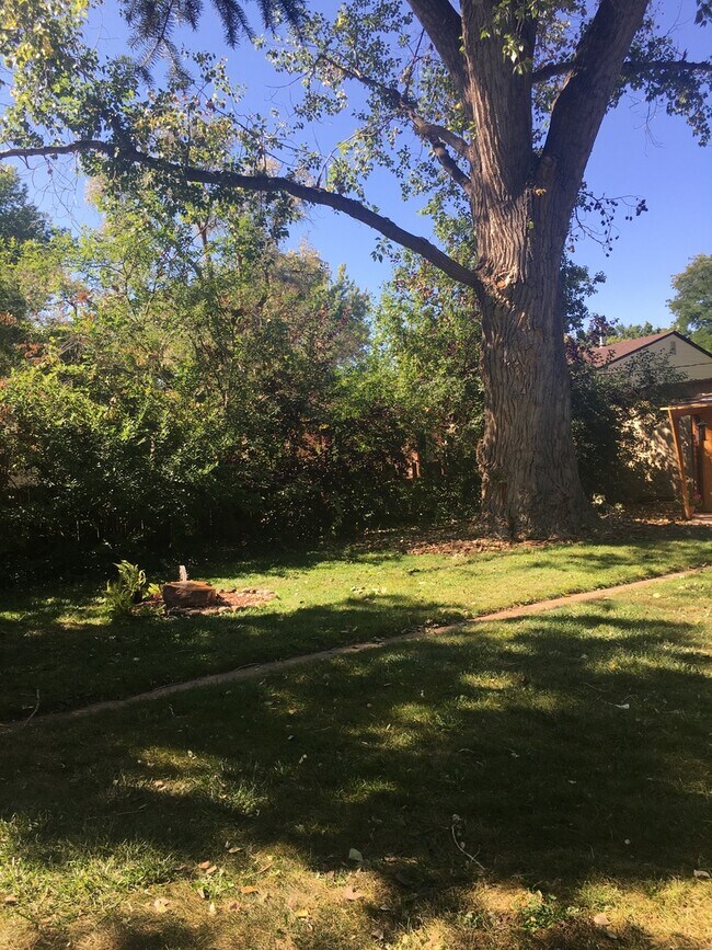 Building Photo - COMING SOON - Great Location - Close to Sw...