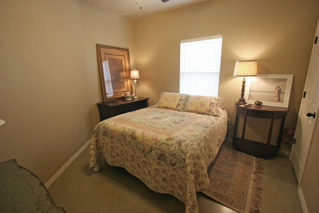 Building Photo - 186-188 Joanne Cove