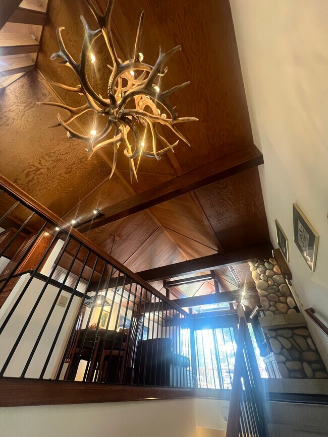 Building Photo - 557 Lakeshore Blvd