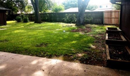 Backyard looking out from back door - 2518 Water Rest Dr