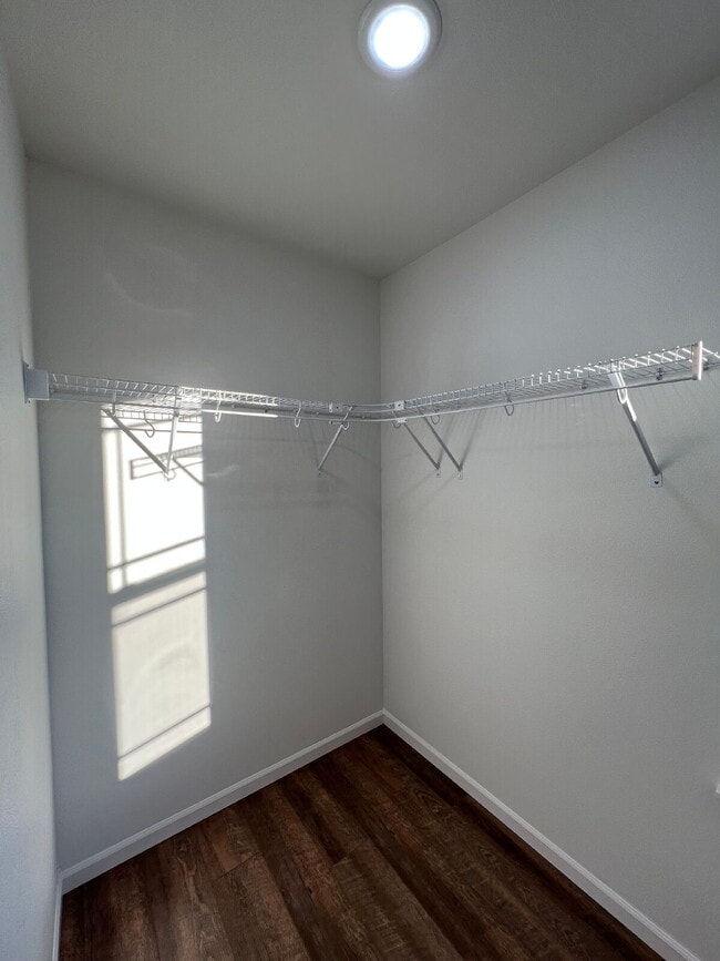 Building Photo - 145 Bald Cypress Ct