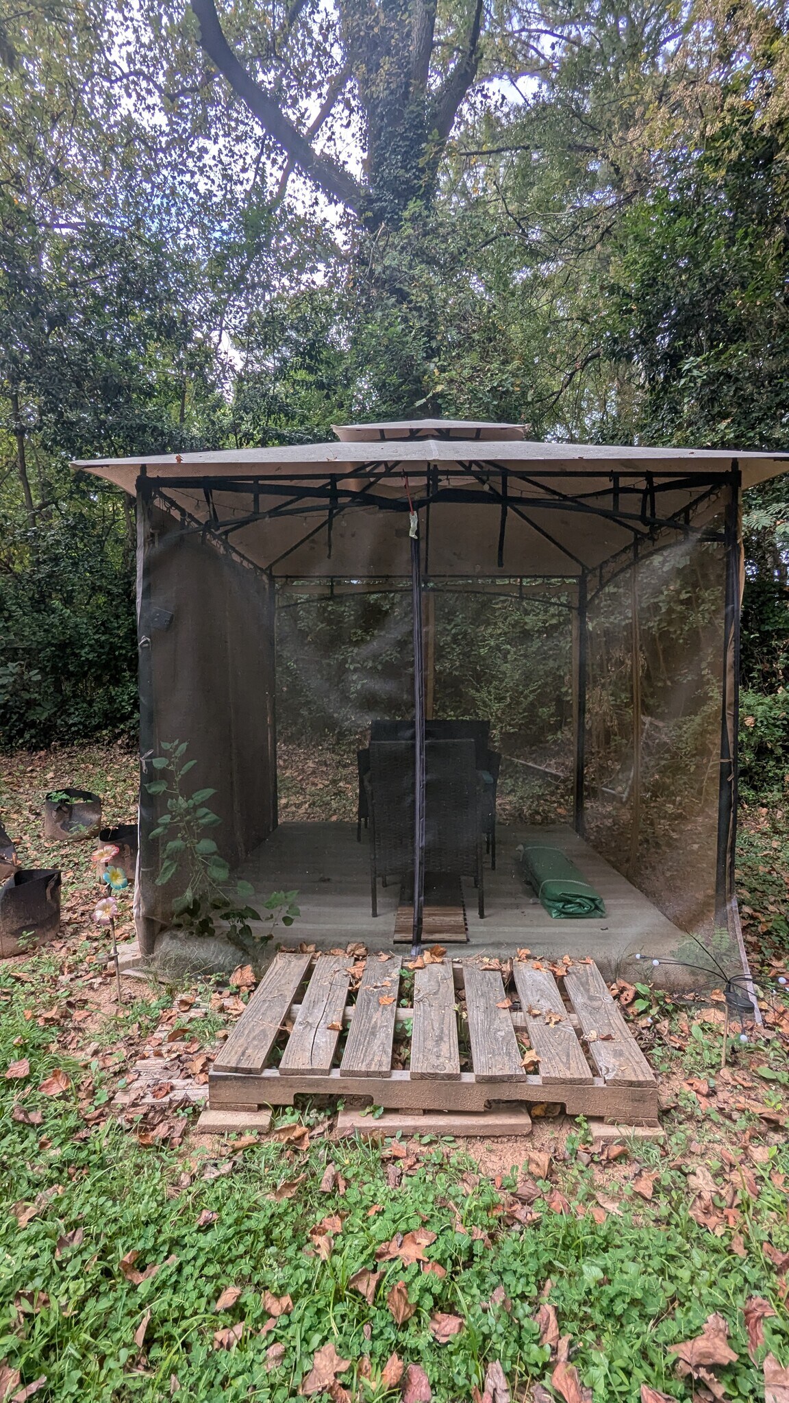 Enclosed outdoor space. - 3182 Latona Dr SW