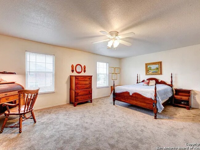Building Photo - Move-In Ready Home with Fresh Updates & Spacious Layout in Converse