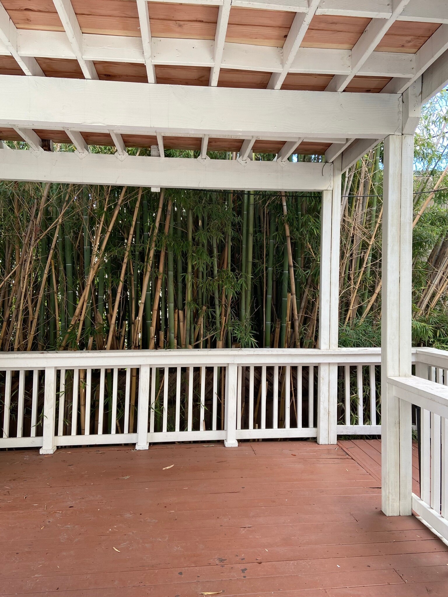 Private patio - 1608 22nd St