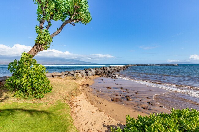 Building Photo - 20 Hauoli St