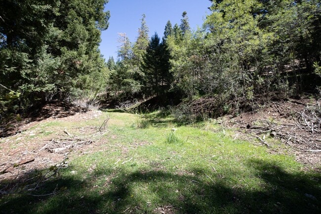 Building Photo - Beautiful New Construction Mountain Retreat