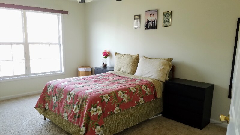 Building Photo - 586 Brittany Cir