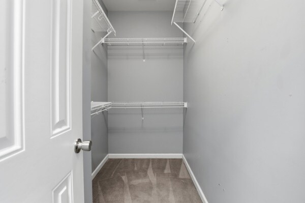 Building Photo - 127 Pine View Crossing