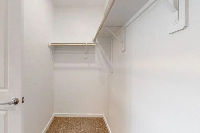 Building Photo - 21611 Shadowbrook Birch Dr