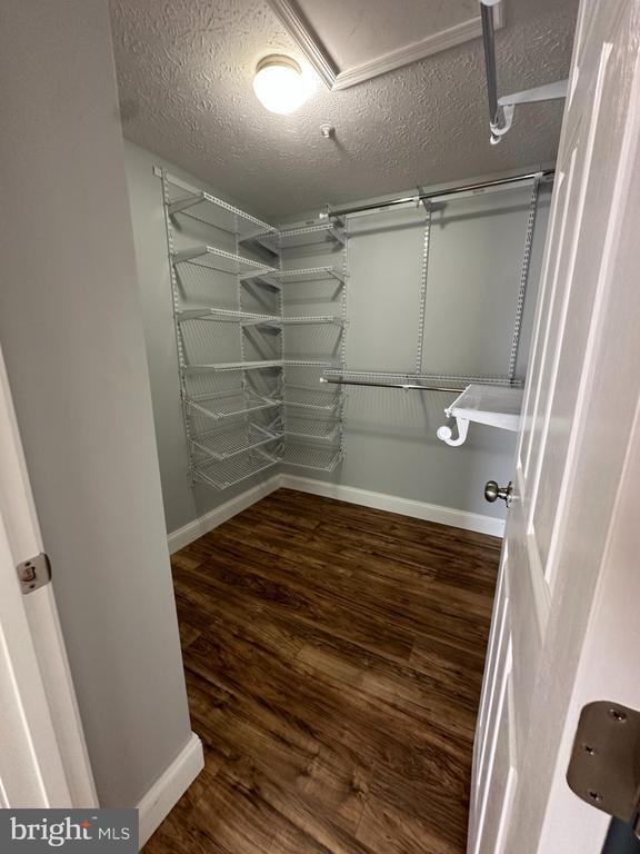 Building Photo - 4122 Maple Path Cir