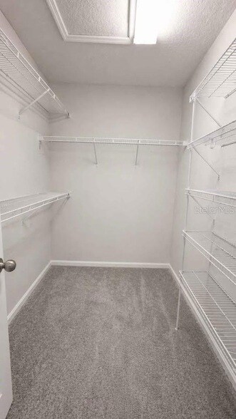 Building Photo - 2629 Play Hard Aly