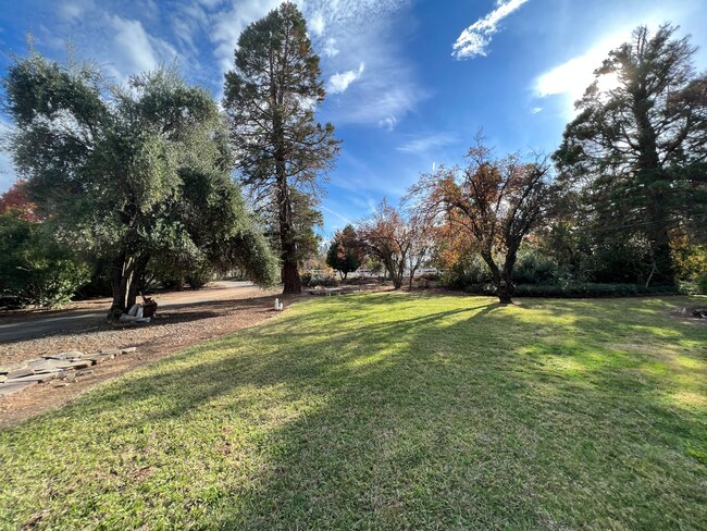 Building Photo - Wonderful Palo Cedro Neighborhood country ...