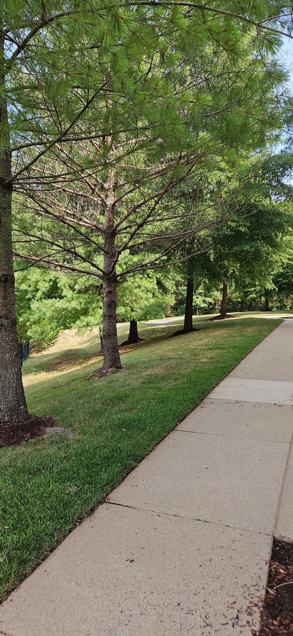 Building Photo - 12332 Rollys Ridge Ave