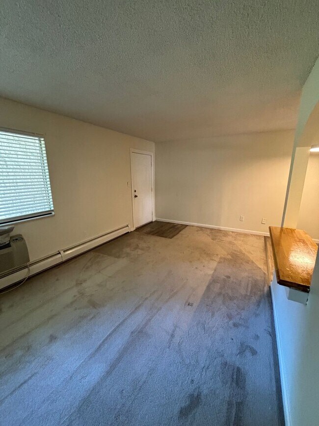 Building Photo - Jasmine Condos Updated 1 bd/1ba