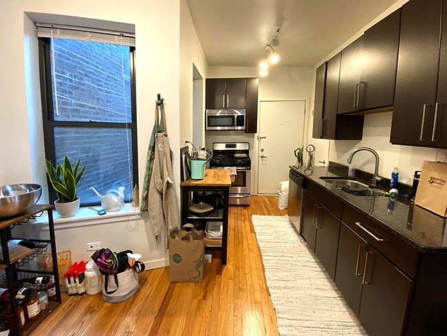 Building Photo - Bright and Sunny 1 Bedroom in UK Village- Laundry, Central Heat/AC, Free Fast Internet Included